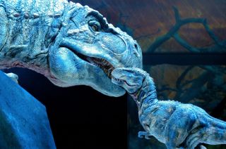 Milano, Domani a Palazzo Isimbardi la presentazione dello spettacolo "Walking with the dinosaurs"