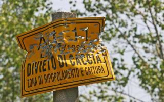 Dal Web, Caccia: le delegazioni Lipu si mobilitano in tutta Italia contro “caccia selvaggia”