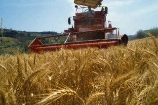 Territorio, Approvate le modifiche al testo unico in materia d'agricoltura