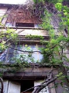 Milano, Casa degli Artisti a rischio demolizione: lanciato l’ultimo appello Milano, Casa degli Artisti a rischio demolizione: lanciato l’ultimo appello