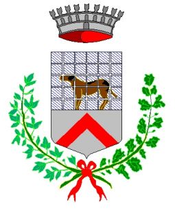 Canegrate, E' pronto il Bilancio Partecipativo per il 2009