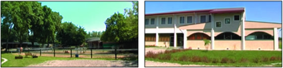 il parco